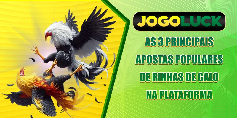 As 3 principais apostas populares de rinhas de galo na plataforma