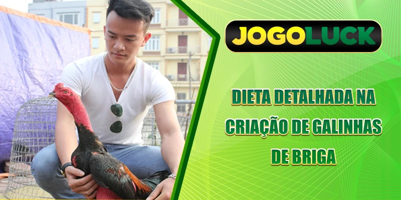 Dieta detalhada na Criação de Galos de Briga