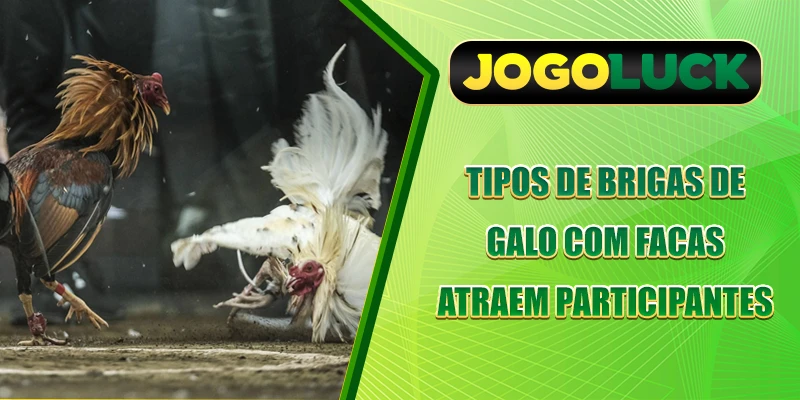 Tipos de brigas de galo com facas atraem participantes