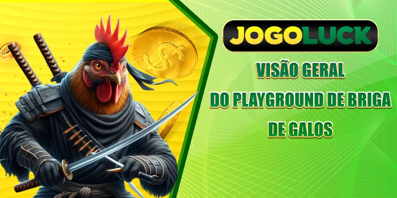 Visão geral do playground de briga de galos